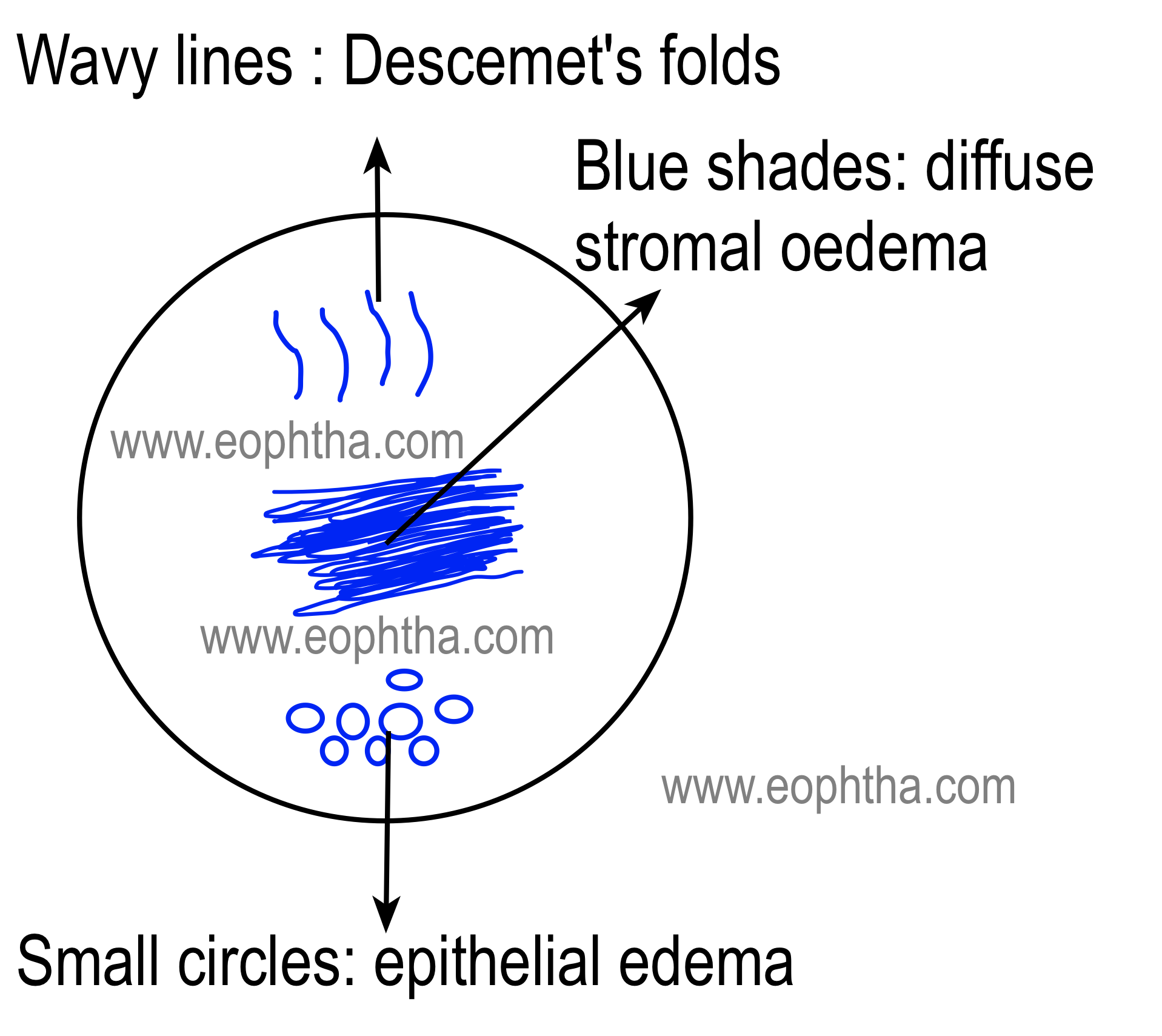 Documentation & Drawing in Ophthalmology